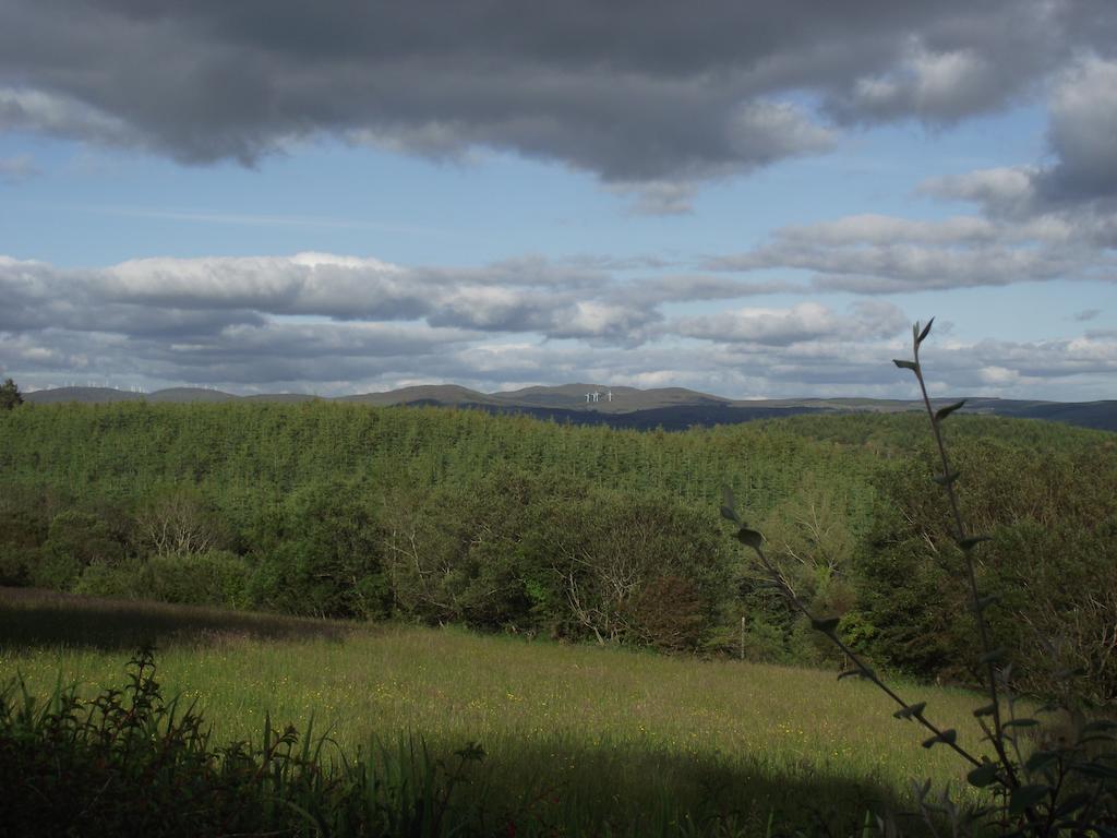 Pine View Self Catering Holiday Home Donegal Town Kültér fotó